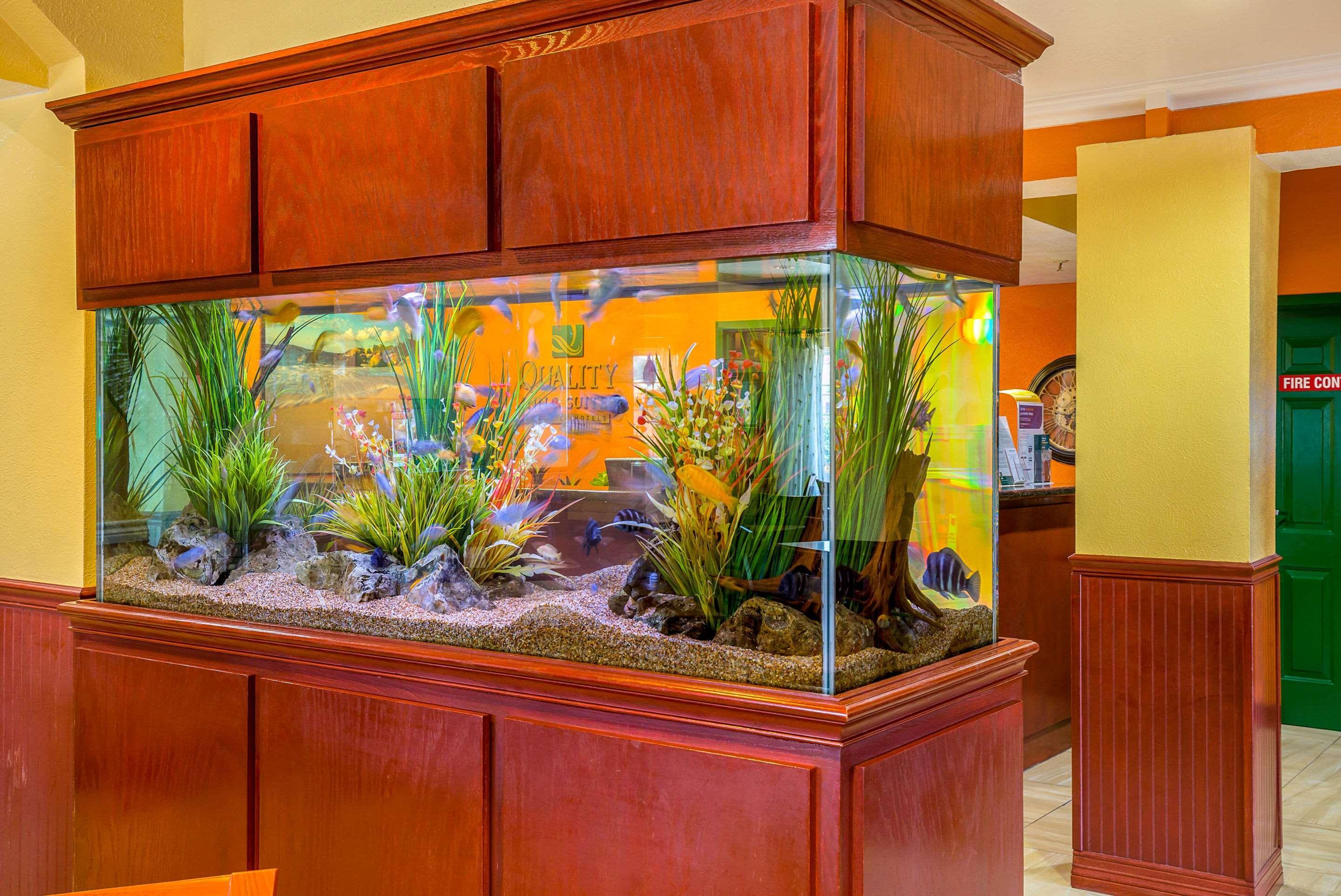 Quality Inn & Suites Galveston - Beachfront Dış mekan fotoğraf